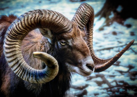 Debemos procurar que haya biodiversidad para evitar cascadas de extinción