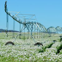 Los datos globales de agua embalsada son increíblemente buenos. La realidad de muchas zonas es muy diferente. 