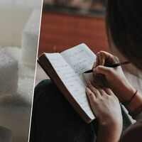 Depois de estudar moscas, cientistas chegaram a uma conclusão: comer açúcar depois de estudar é uma boa ideia 