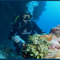 O peixe que confundiu cientistas por décadas agora tem nome inspirado na Vila Sésamo 