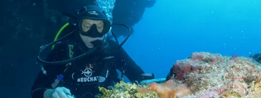 O peixe que confundiu cientistas por décadas agora tem nome inspirado na Vila Sésamo 