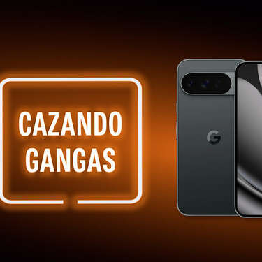 Cazando Gangas