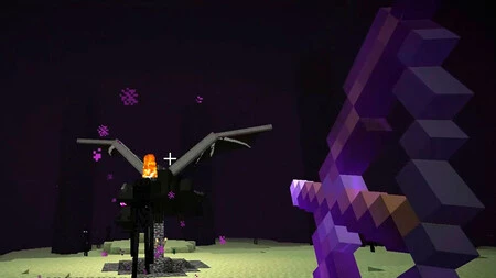 Enderdragon Lucha 2