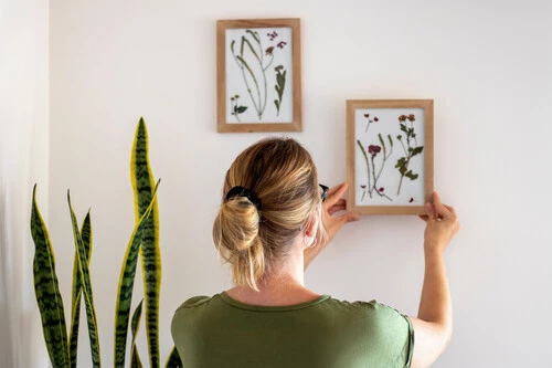 Colgar Cuadros Sin Taladro