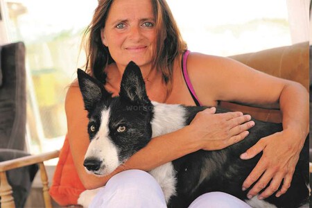 Dona e cão