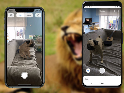 Cómo ver los animales 3D de Google en iPhone y Android:  leones, tiburones y tigres a través de la cámara
