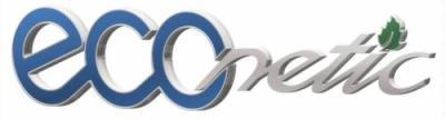 ECOnetic de Ford