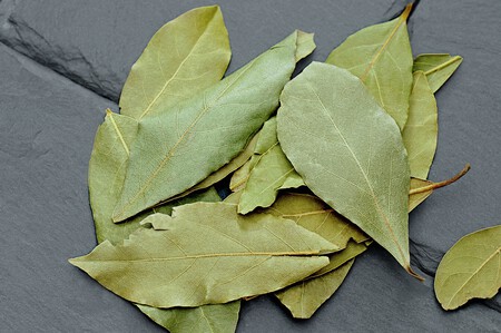 Laurel