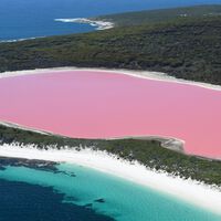 Achávamos que já conhecíamos todas as forças do planeta até os pesquisadores revelarem os fenômenos naturais mais improváveis e bizarros já registrados no mundo 