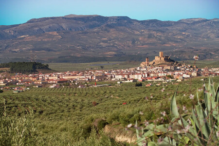 Alcaudete 5