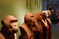 El Museo de Historia de Hanoi