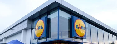 Skechers parecen, Lidl son: las zapatillas cómodas y versátiles para vestir a diario por menos de 18 euros