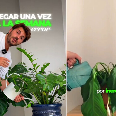 Álvaro Pedrera, experto en jardinería: "Si riegas una vez a la semana estás cometiendo uno de los errores que más plantas se ha cargado"