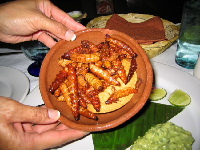 Comida con insectos como tendencia: qué es, cómo se come y qué podemos ...