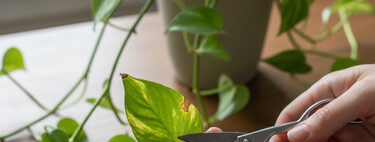 Tres consejos de experto para que tu poto luzca más espectacular que nunca