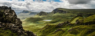 Scotland’s Bold Plan to Save Its Forests: Sending 167 Wolves to the Highlands to Control the Deer Population