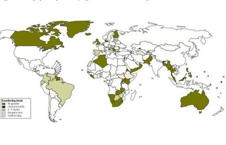 Mapa de permisos de lactancia en el mundo