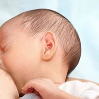 ¿Cómo es posible que pocos minutos después de empezar a comer haga ya caca?