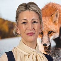 Los autónomos queríamos igualdad con los asalariados. Yolanda Díaz quiere que paguemos la cuota de solidaridad 