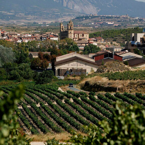 Un columpio entre viñas con vistas al Ebro y una panadería de autor: el pueblo perfecto en Rioja Alavesa para ver el eclipse  