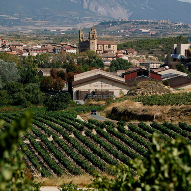 Un columpio entre viñas con vistas al Ebro y una panadería de autor: el pueblo perfecto en Rioja Alavesa para ver el eclipse  