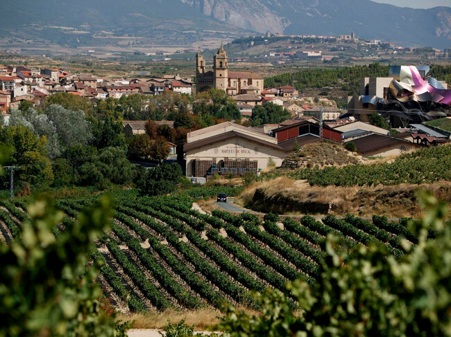 Elciego