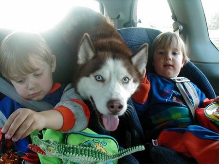 Viajar con niños en un coche híbrido