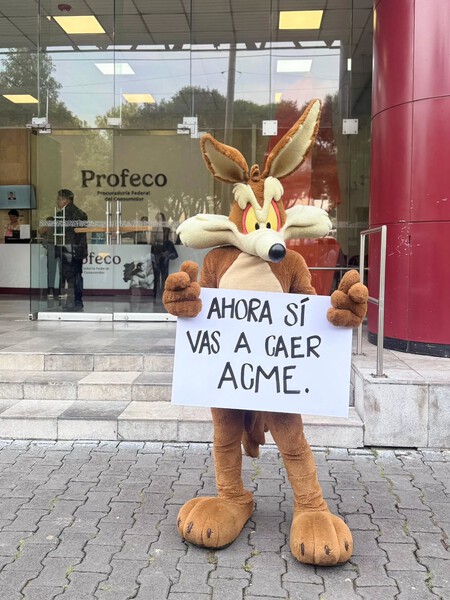 Coyote Vs Acme Rompe Record De Taquilla En Mexico Tanto Que El Protagonista Lleva Su Demanda A La Profeco Y El Gobierno Le Promete Justicia