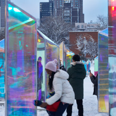 Foto 7 de 10 de la galería primatica-en-montreal-canada en Xataka