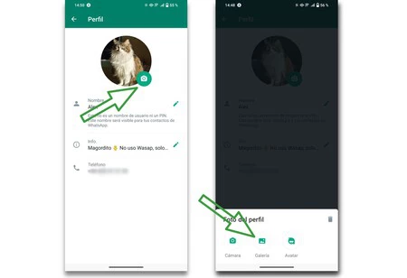 cómo cambiar imagen perfil whatsapp android