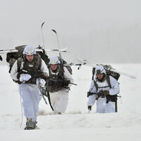 EEUU ha decidido que Europa es su problema en Groenlandia. Alemania quiere convencerle de que el problema es Rusia
