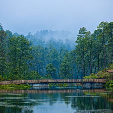 Este es el lugar en el Estado de México en donde puedes hacer glamping: duerme junto a un lago y viendo las estrellas