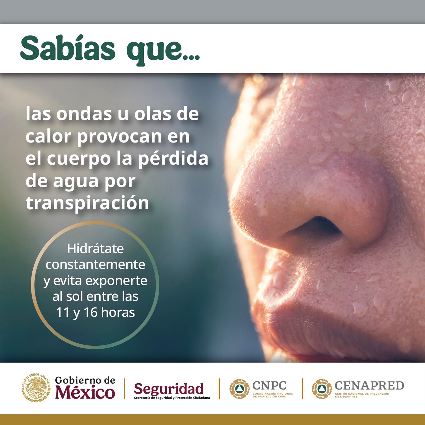 Ola de calor 2025 en CDMX: acciones que te ayudarán a reducir los ...