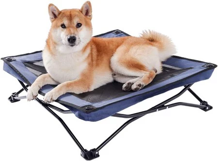 Raised Dog Bed