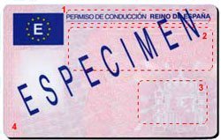El carnet por puntos y como perderlos