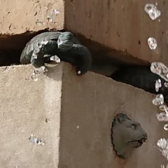 Foto 2 de 20 de la galería xperia-z5 en Xataka Móvil