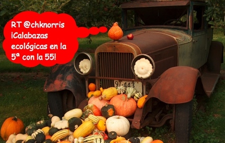 Twitter y la venta ambulante
