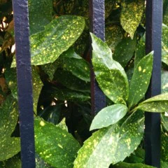 Foto 9 de 15 de la galería mejora-de-la-camara-del-nexus-5-con-android-4-4-1 en Xataka Android