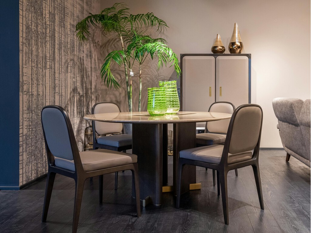 Estas plantas sobreviven con poca luz y no son ni la lengua de suegra ni el poto