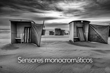 Todo sobre fotografía móvil (7): los sensores en blanco y negro, qué son y para qué sirven