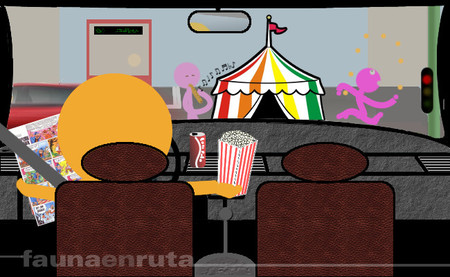 fauna en ruta: entretenimiento en el semáforo