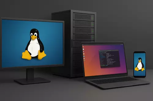 Linuxes