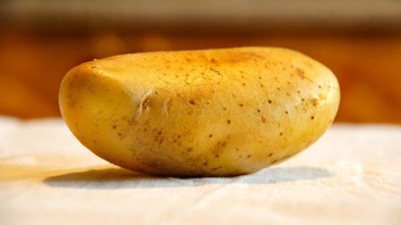 Patatas y arroz como alternativas a la pasta