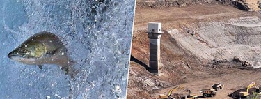 Um dos maiores complexos de barragens do mundo foi destruído; os vencedores: as tribos indígenas da região 