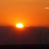 La importancia del embalaje en tu tienda online y cuidar del medioambiente