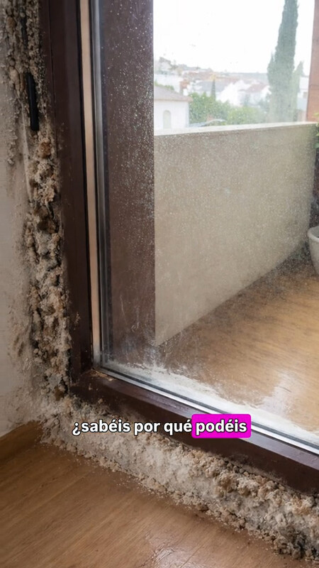 humedades ventanas