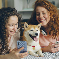 La Generación Z quiere legislar o eliminar las redes sociales. Pese a ello pasa siete horas o más enganchada a ellas