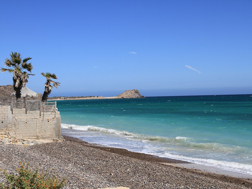 Un pueblo de pescadores prohibió la pesca en su propio arrecife en 1995: 25 años después, la biomasa marina creció un 460% y atrajo a tiburones y ballenas 
