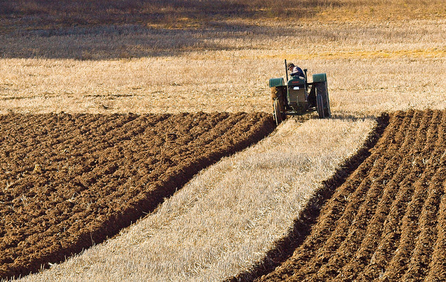 Puede que las granjas en el Reino Unido se queden sin motivos para labrar
