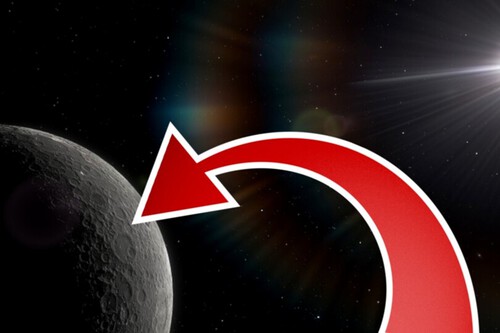 Ammonite / Imagem: Game Star